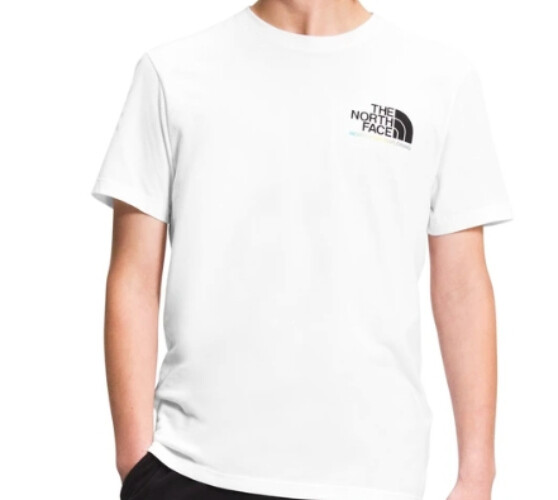 AUTHENTIC THE NORTH FACE DISTORED HALF DOME T SHIRT NF0A5IVFFN4 gallery
