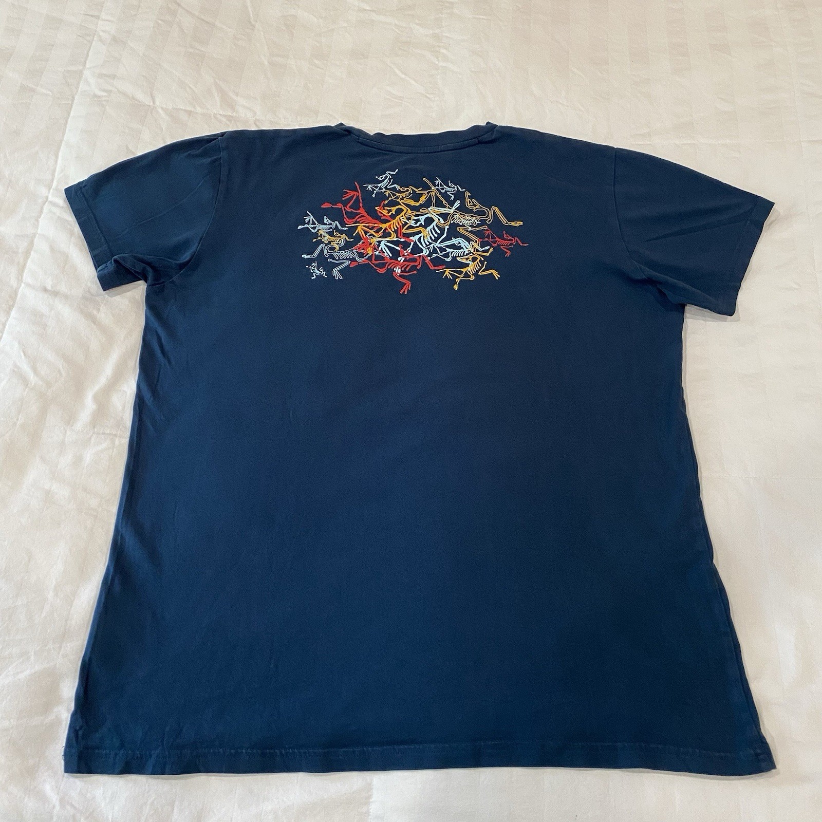 Vintage Arcteryx Multi Bird Tee Gen 1 - Excellent- Mens Large - Admiral - Rare gallery