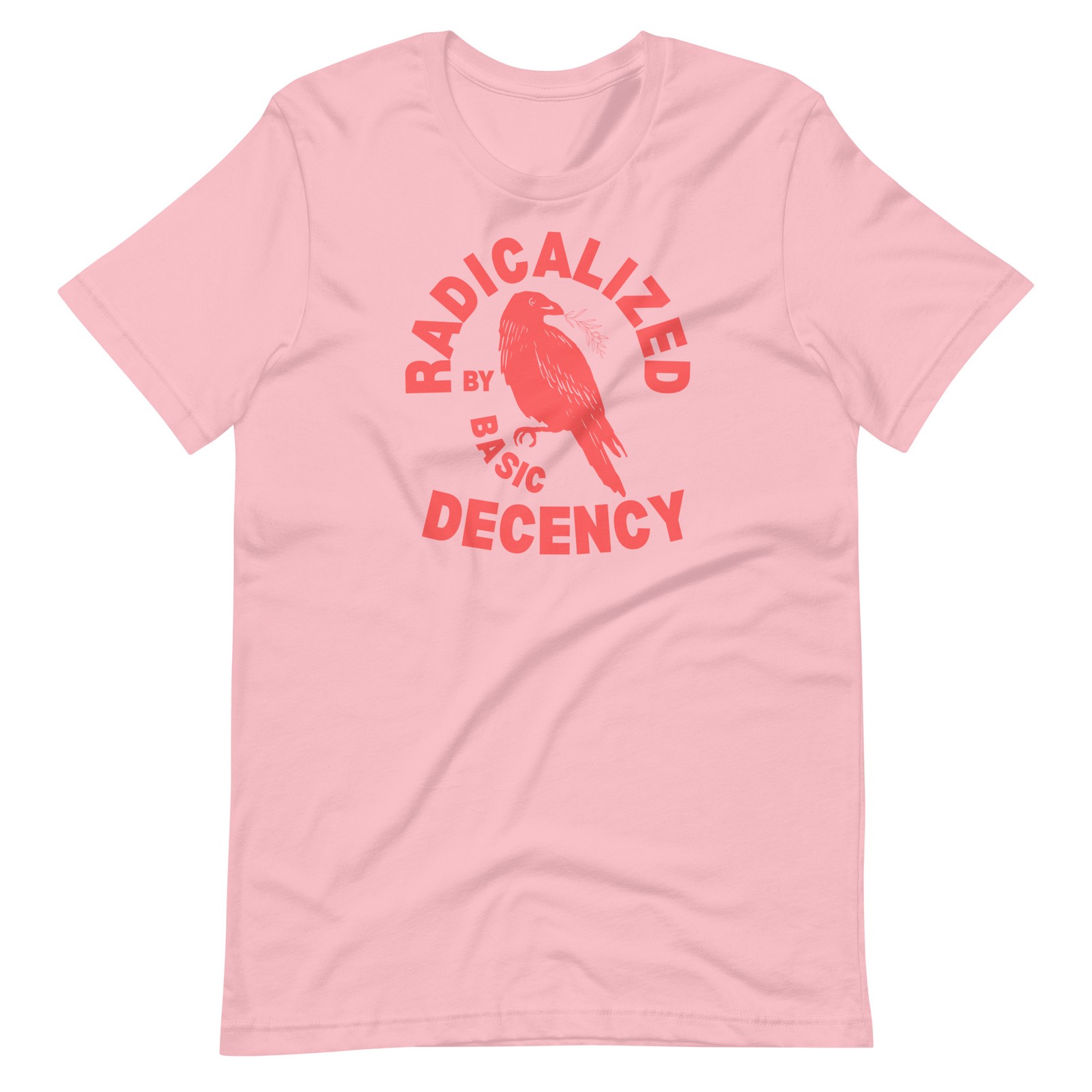 Radicalized by Basic Decency Unisex t-shirt Gift S,M,L,XL,2X,3X gallery