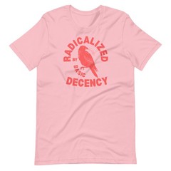 Radicalized by Basic Decency Unisex t-shirt Gift S,M,L,XL,2X,3X