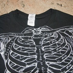 Leslie Arwin Skeletal System 2XL Double Sided T Shirt Anatomy Science Medical
