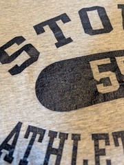 VINTAGE Stout School Athletic Dept Dearborn, Michigan Shirt Men’s L Grey 90s