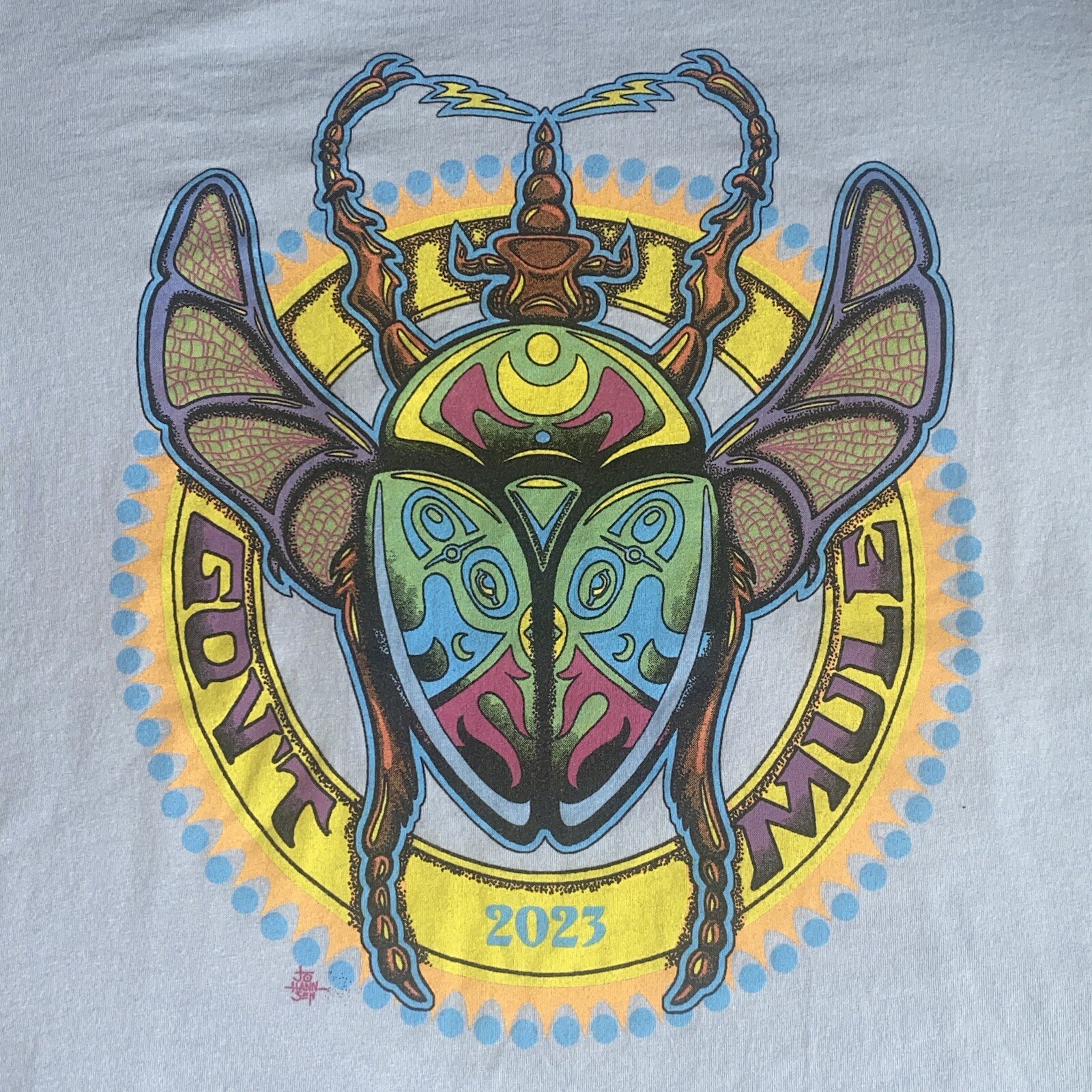 GOV’T MULE Beetle Licensed Southern Blues Rock T-Shirt 2023. SMALL (NV) Preowned gallery