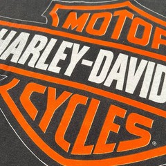 Vintage 1995 Harley Davidson Brick Wall Shirt Size Medium 90s Real Test Machine