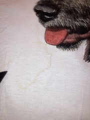 Vintage: NOS Irish Wolfhound . Large White T. Single Stitch. USA. Teletrend