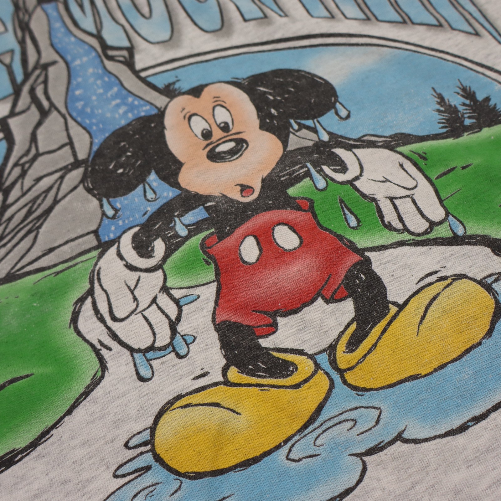 Vintage Disney Splash Mountain Shirt Mens Large Mickey Mouse Retired Ride Tee gallery