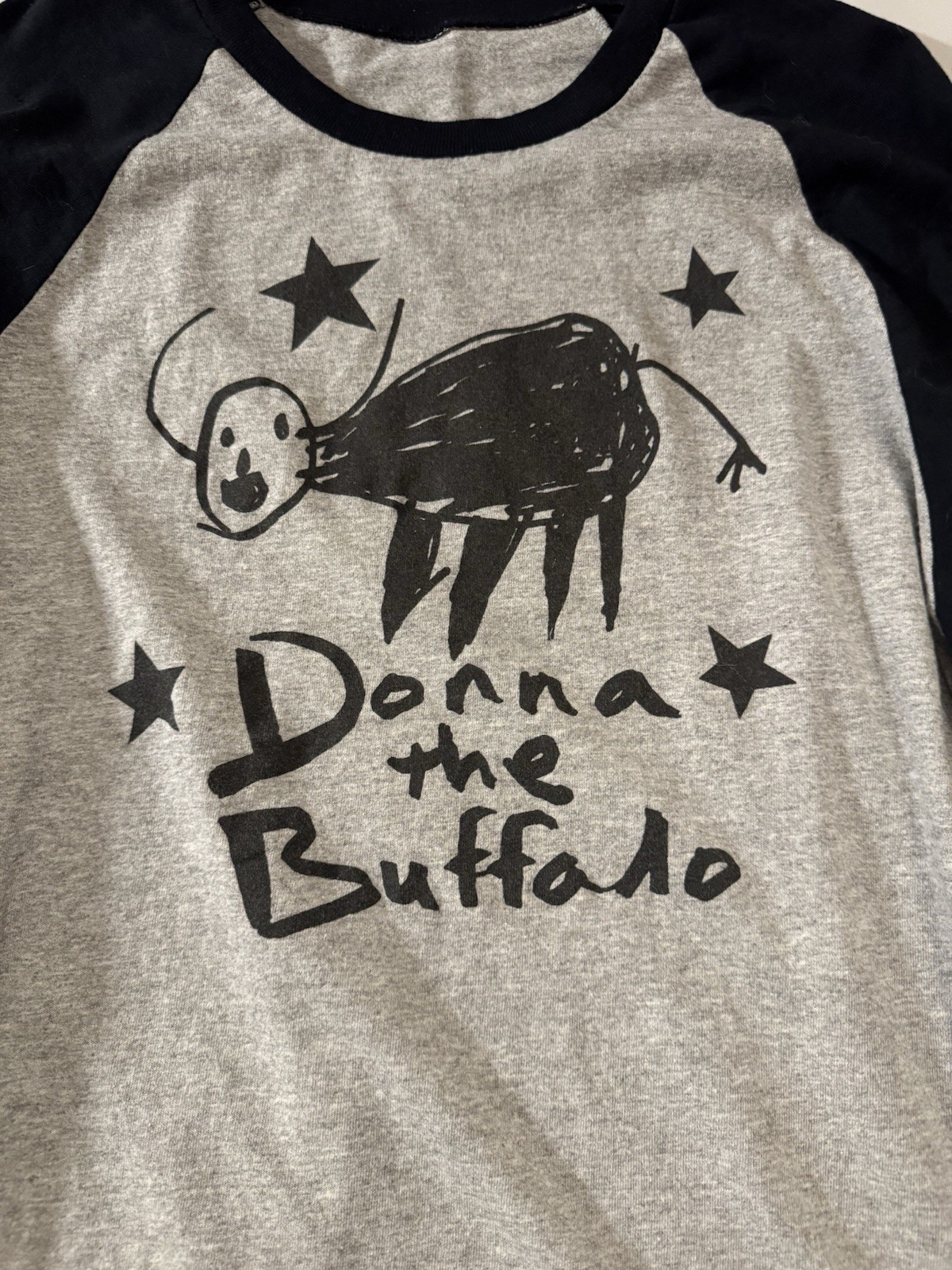Rare Donna The Buffalo - Vintage Concert T-Shirt No Tag Baseball Style Black gallery