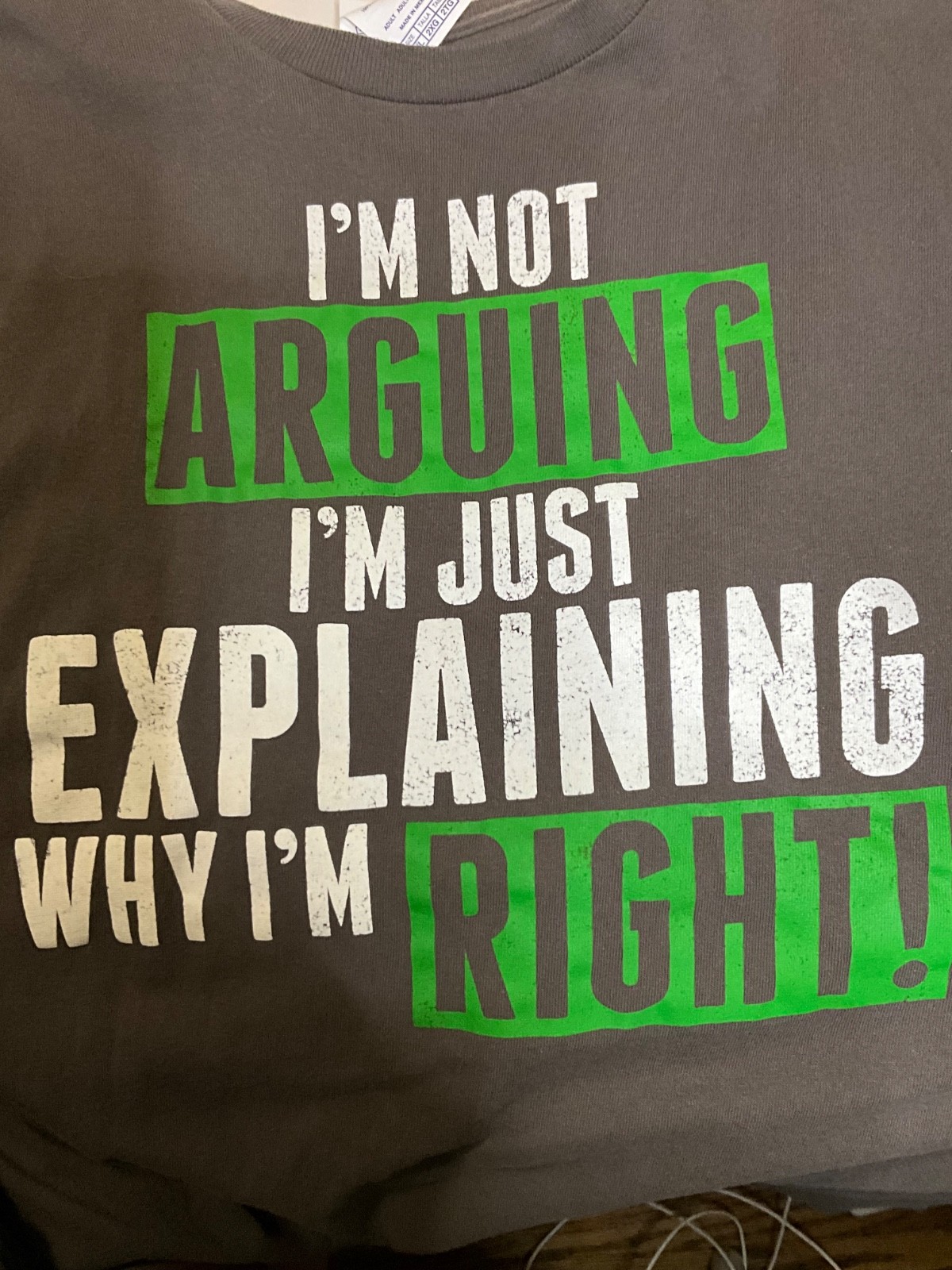 Delta Pro Weight "I'm Not Arguing..." Sarcastic Graphic T-Shirt - Men's 2XL gallery