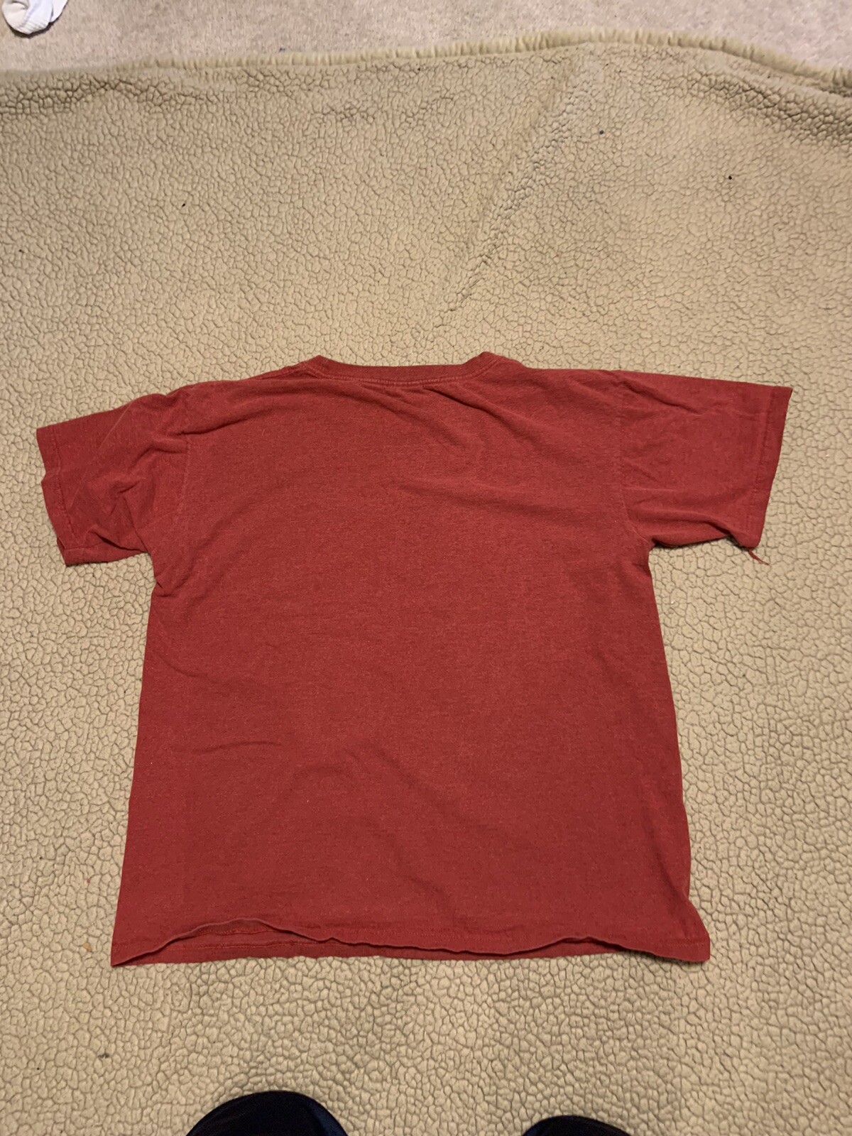 Vintage Eco Mountain Red Alaska Graphic Crew Neck T-Shirt Adult Size L gallery