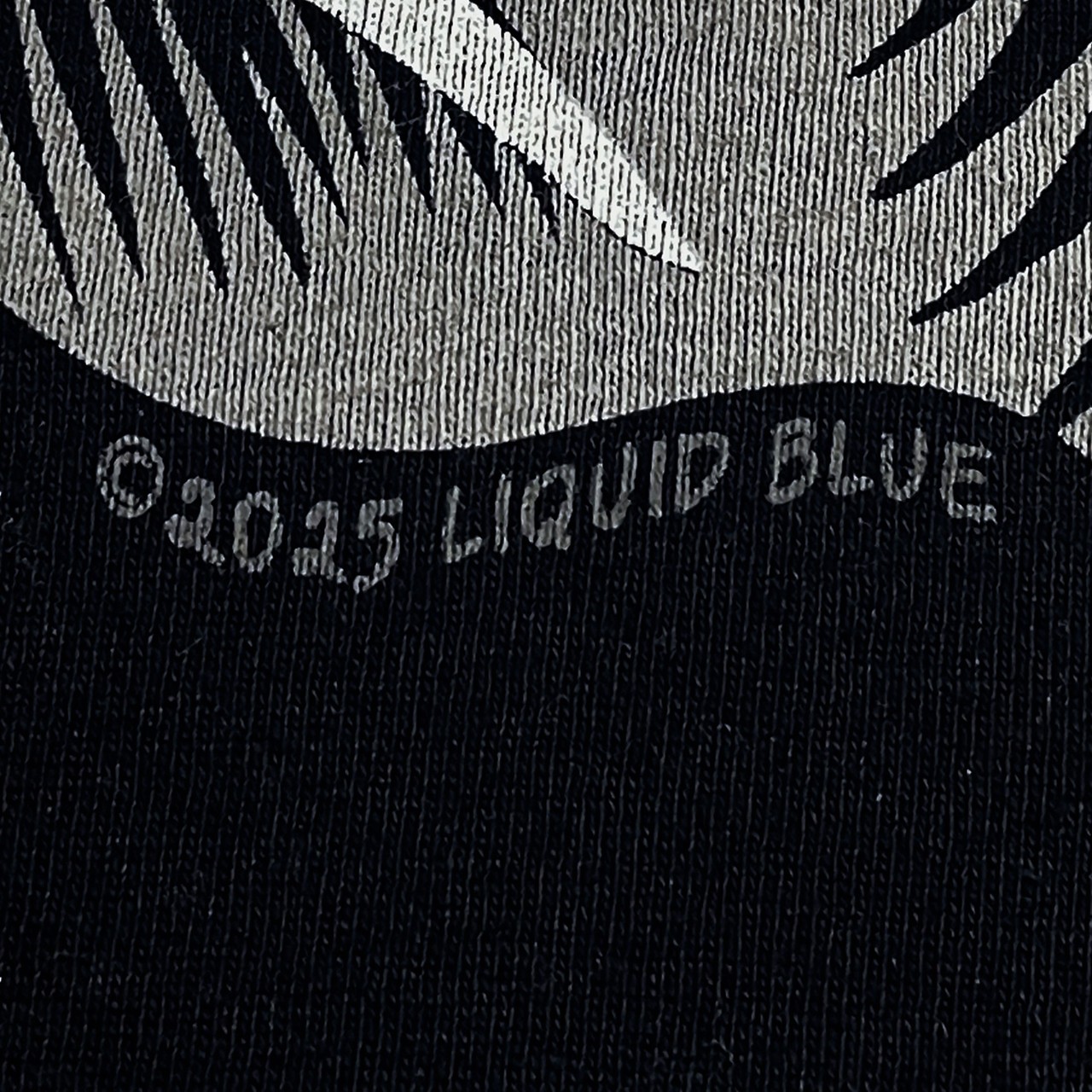 Jesus Ascension Black T-Shirt Liquid Blue gallery