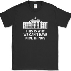 Why We Can’t Have Nice Things T-Shirt Funny Anti Government Political Tee