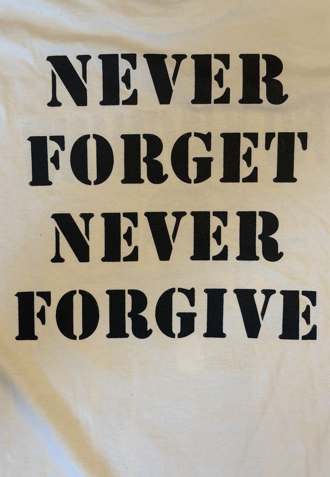 NO WARNING NEVER FORGET NEVER FORGIVE EURO SHIRT LARGE NATURAL HARDCORE FREE S/H gallery