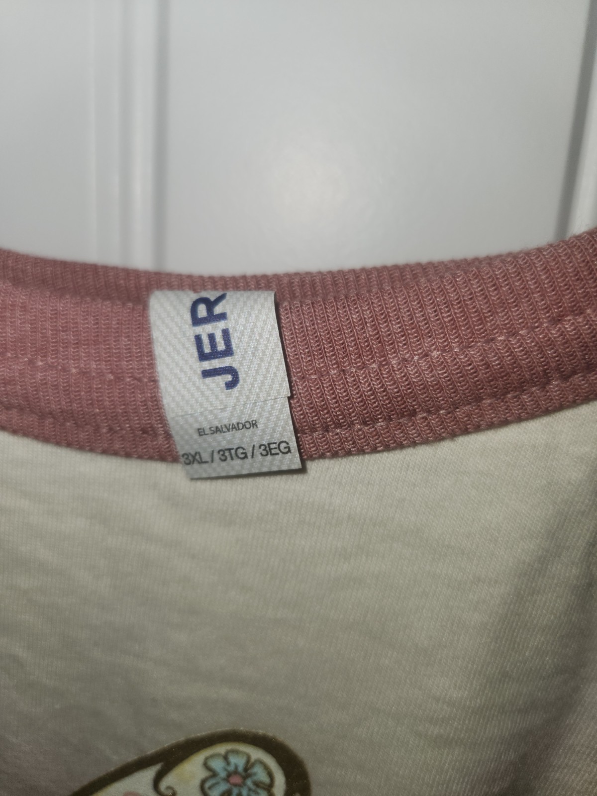 Women's 3XL Long Beige/Pink Raglan Crew T-Shirt Butterfly Fearless Joshua 1:9 gallery
