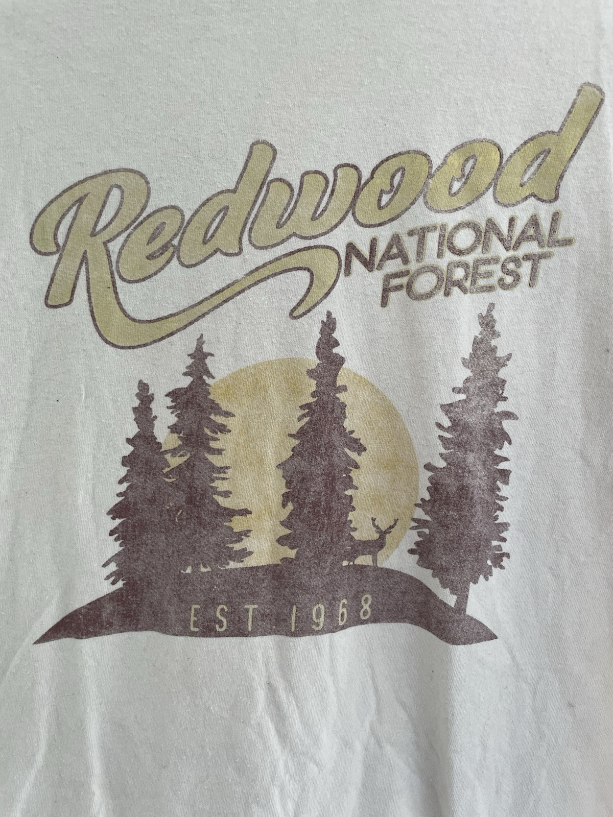 Goodie Two Sleeves Unisex Adult Redwood National Forest Cotton T-Shirt Beige M gallery