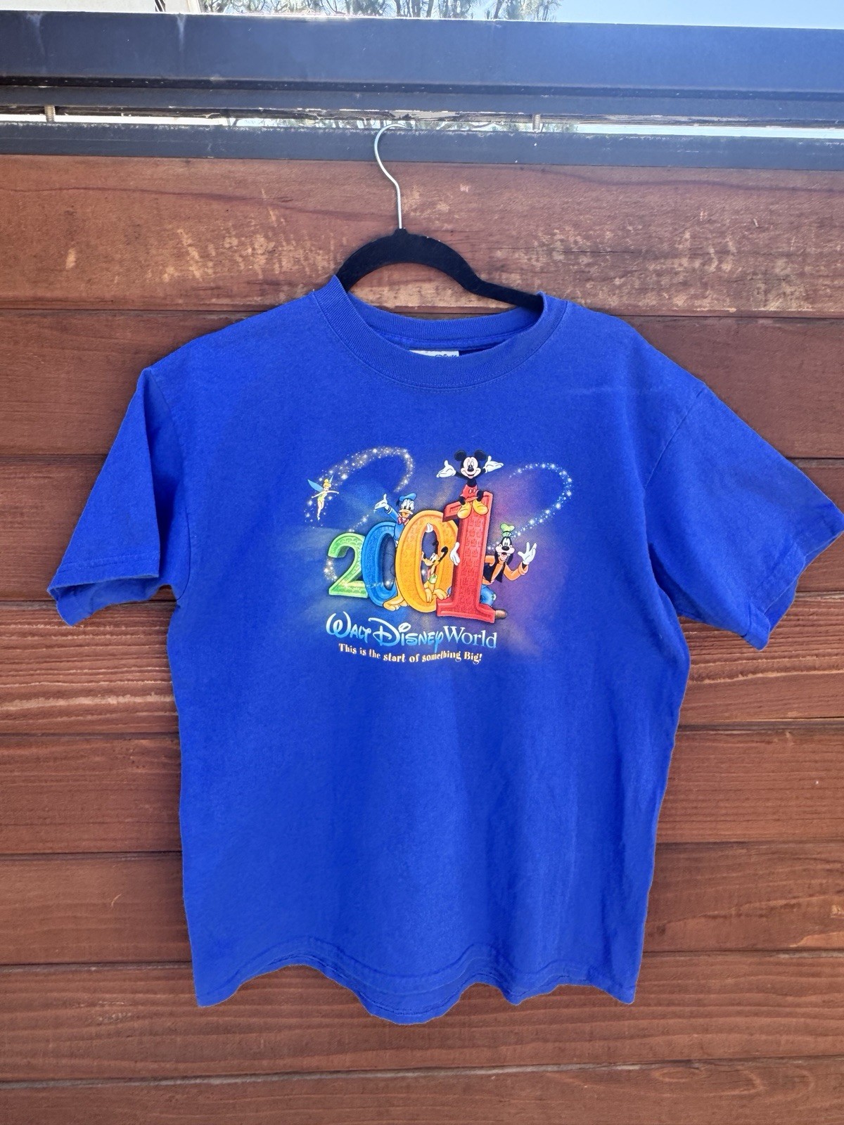 Vintage Disney Sports T Shirt Bundle Lot Of 8 gallery