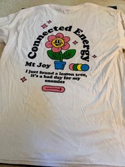 mt joy tshirt