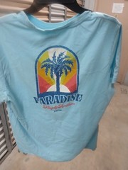 Flag & Anthem Mens Mint Green Short Sleeve Crew Neck Pullover T-Shirt Size L