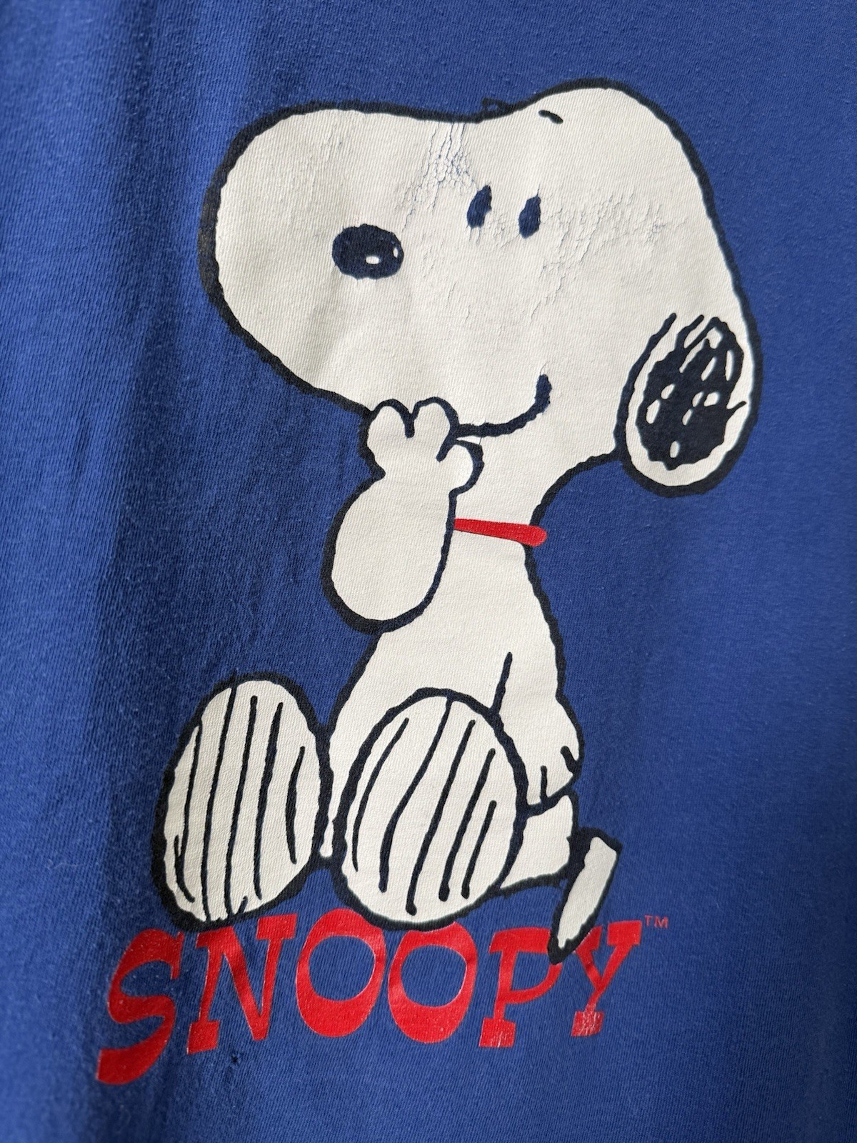 Blitzz Intl Vintage T Shirt Tee Peanuts Snoopy Blue XL gallery