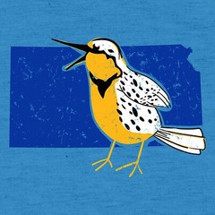 Kansas State Bird – State Pride T Shirt – Heather Sapphire
