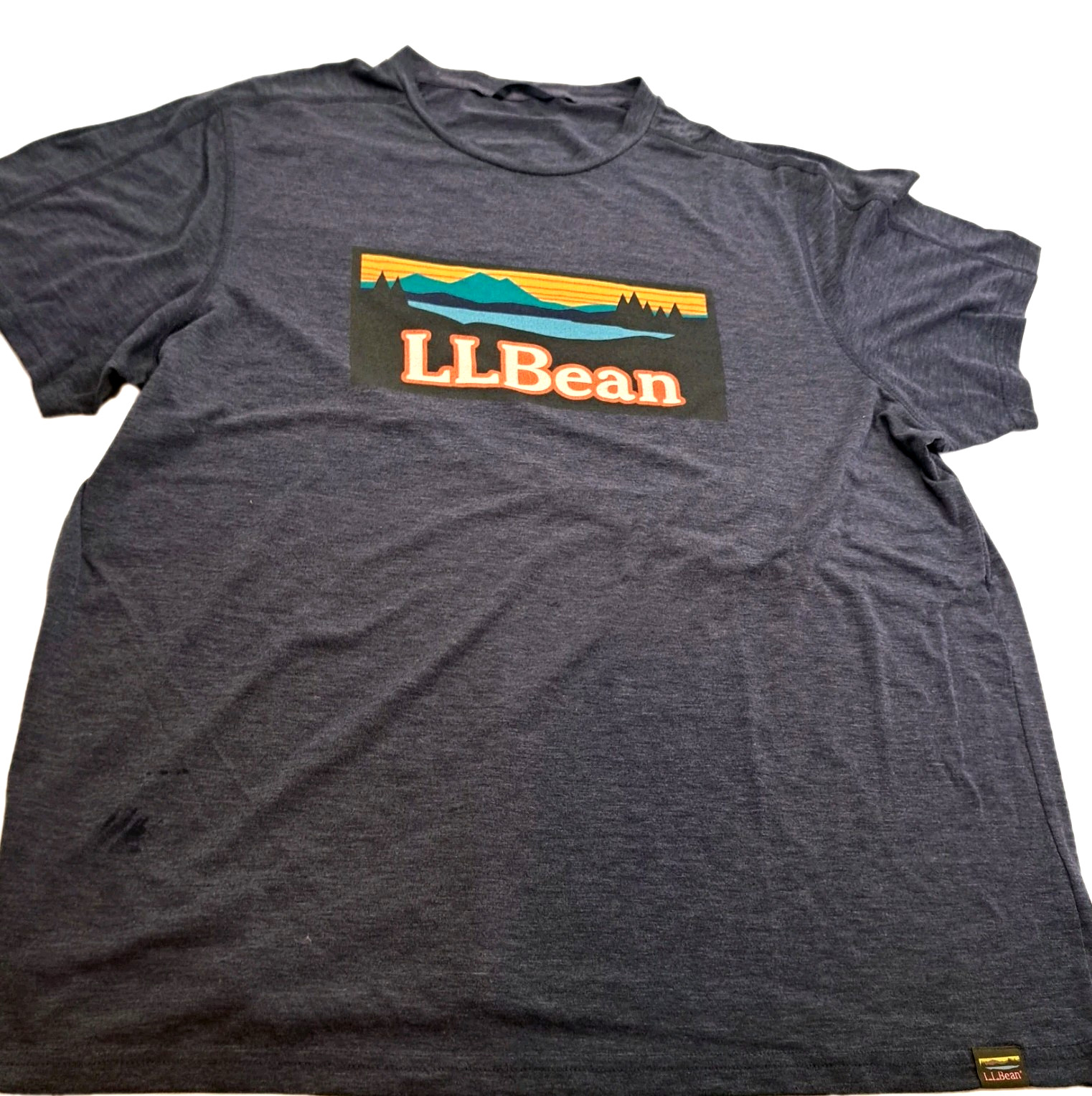 LL Bean T-shirt Mens XL Gray Logo Outdoors Hiking Gorpcore FLAW gallery