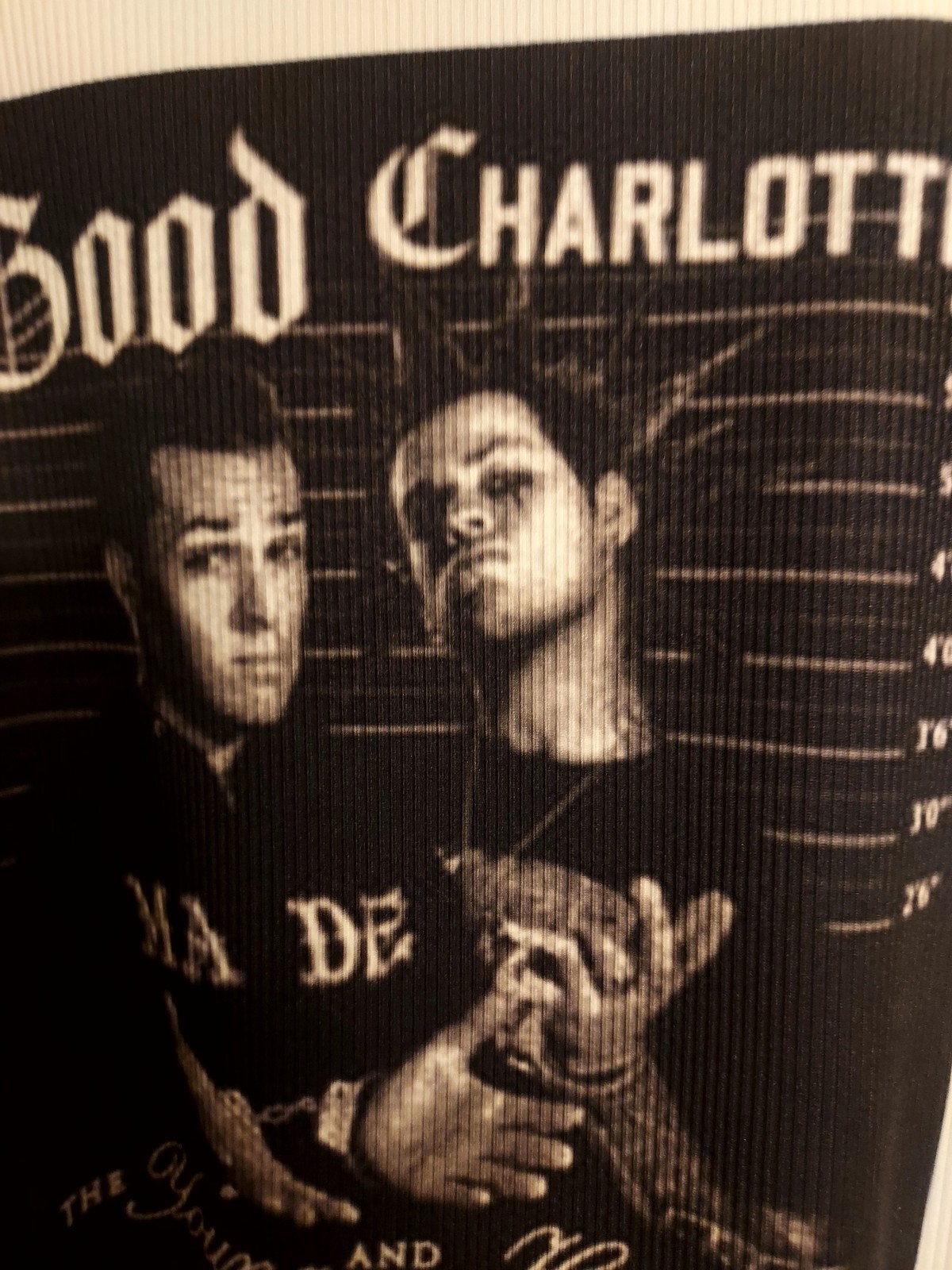 Good Charlotte crop top good charlotte tank top The Young And The Hopeless Shirt gallery