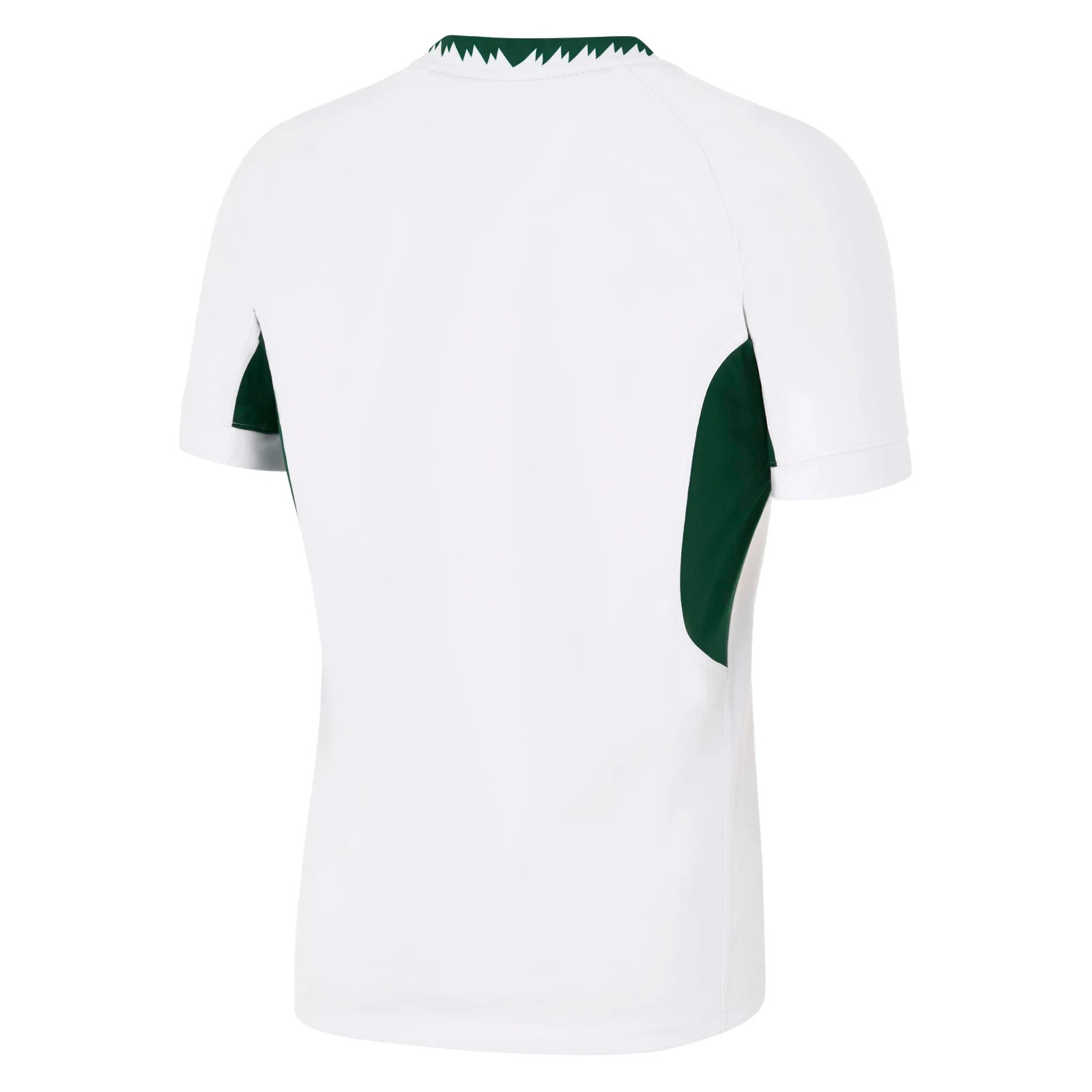 South Africa 2025/26 Mens Home and Away Shirt Rugby Jersey S-5XL gallery