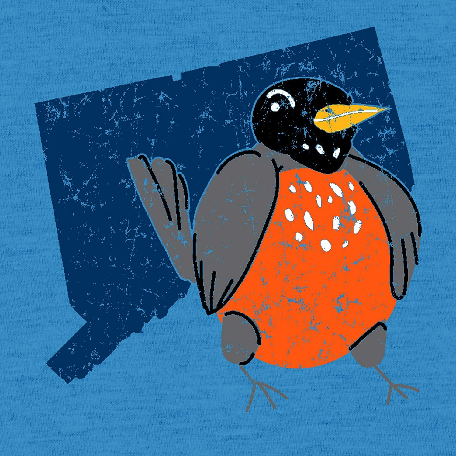 Connecticut State Bird - Classic City Animal Lover T Shirt - Heather Sapphire gallery