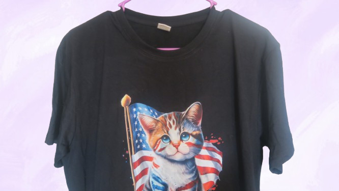 american flag cat graphic t-shirt short sleeves in black, red, white and blue L gallery