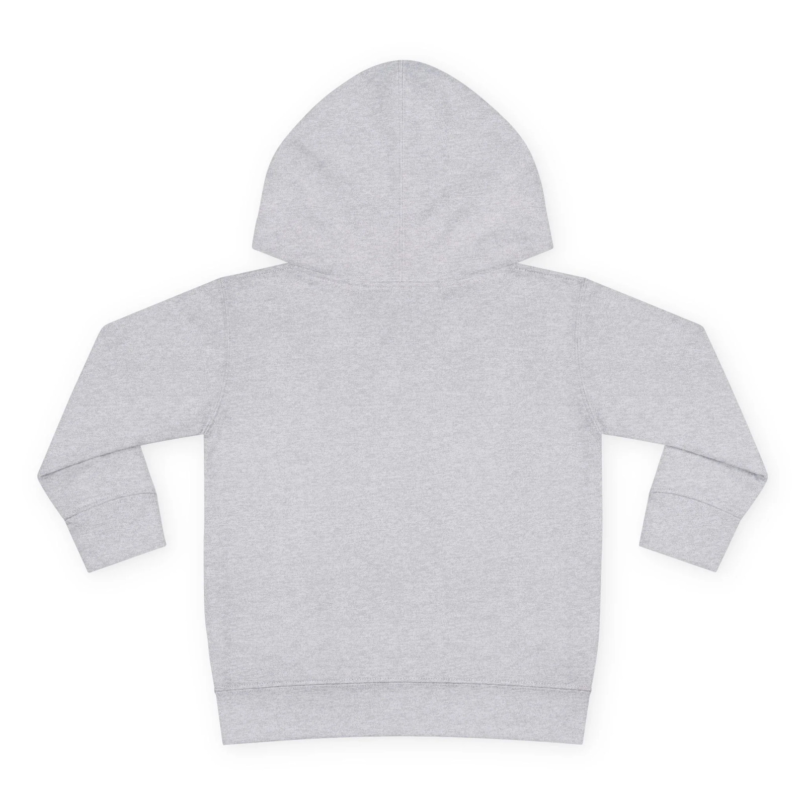 Learn Today Lead Tomorrow Toddler Hoodie gallery