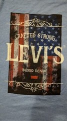Levi’s Men’s Variable Shirts