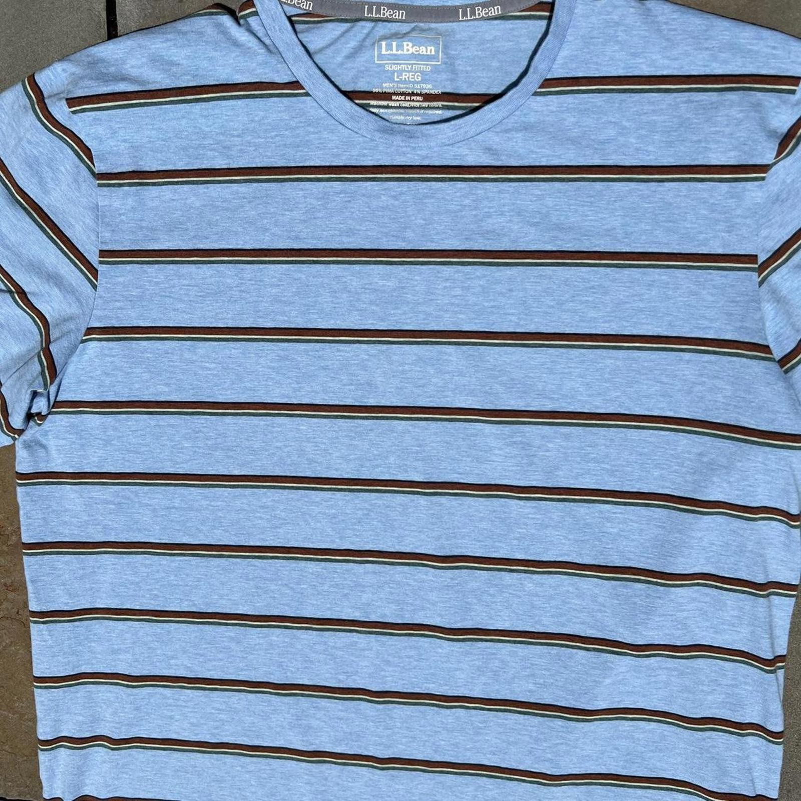 Light Blue Heather Varied Stripe Pima Cotton T-shirt gallery