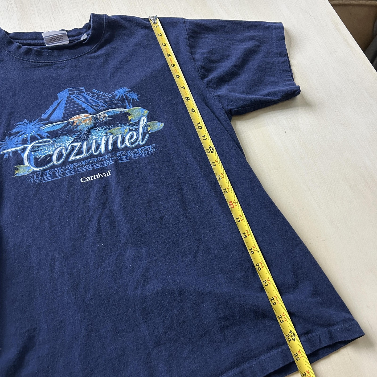 Cozumel Carnival Shirt Mens Large Blue Mexico Tropical Fish Graphic Souvenir gallery