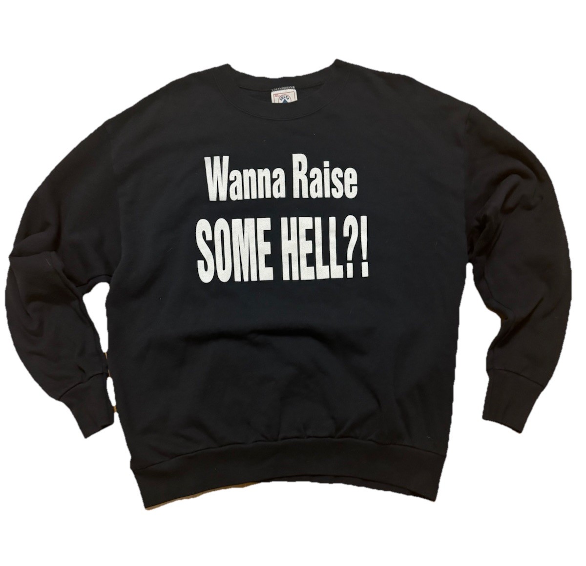 Vtg WWF 1999 Stone Cold Steve Austin Wanna Raise Some Hell Sweatshirt XL RARE gallery