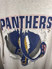 Panthers Single Stich 90’s Rare Vintage Shirt Nutmeg Size L NHL 24×27 Thrashed