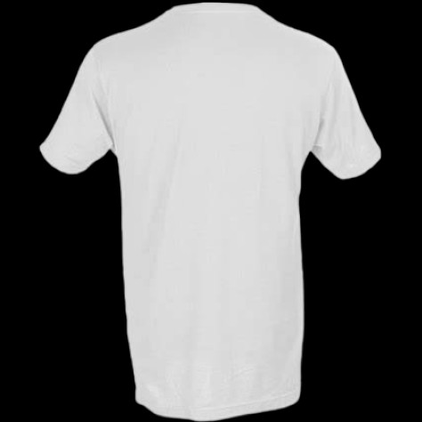 (10-Pack) Solid White T-Shirt Tultex 202 Blank 100% Ring Spun Cotton Tee Size XL gallery