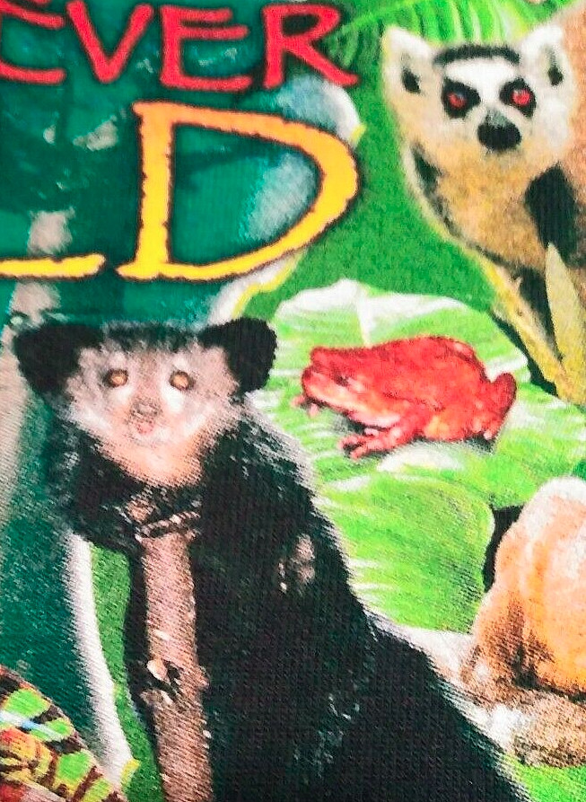 Madagascar Rainforest Forever Wild Forever Free Green T-Shirt Men's Large gallery