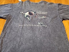 Vintage Single Stitch Nongaloo Reef Tee XL 90s Exmouth Western Australia Nature