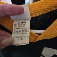 Dorsey Levens Jersy #25