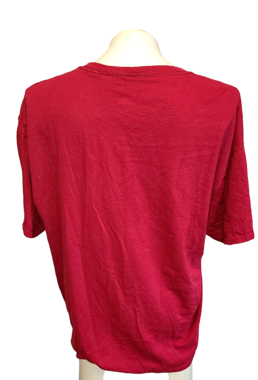 Disney Castle Home T-Shirt Size XL gallery
