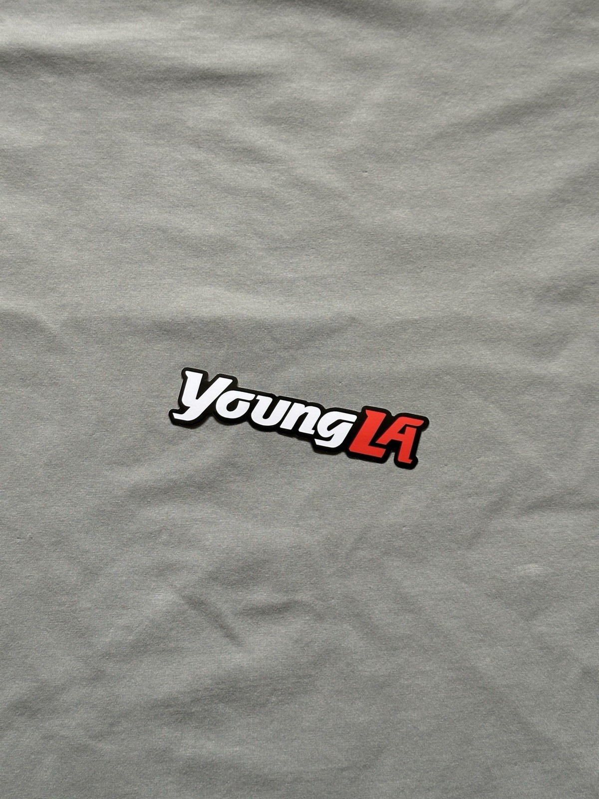 YoungLa T Shirt Grey Size Medium Short Sleeve gallery