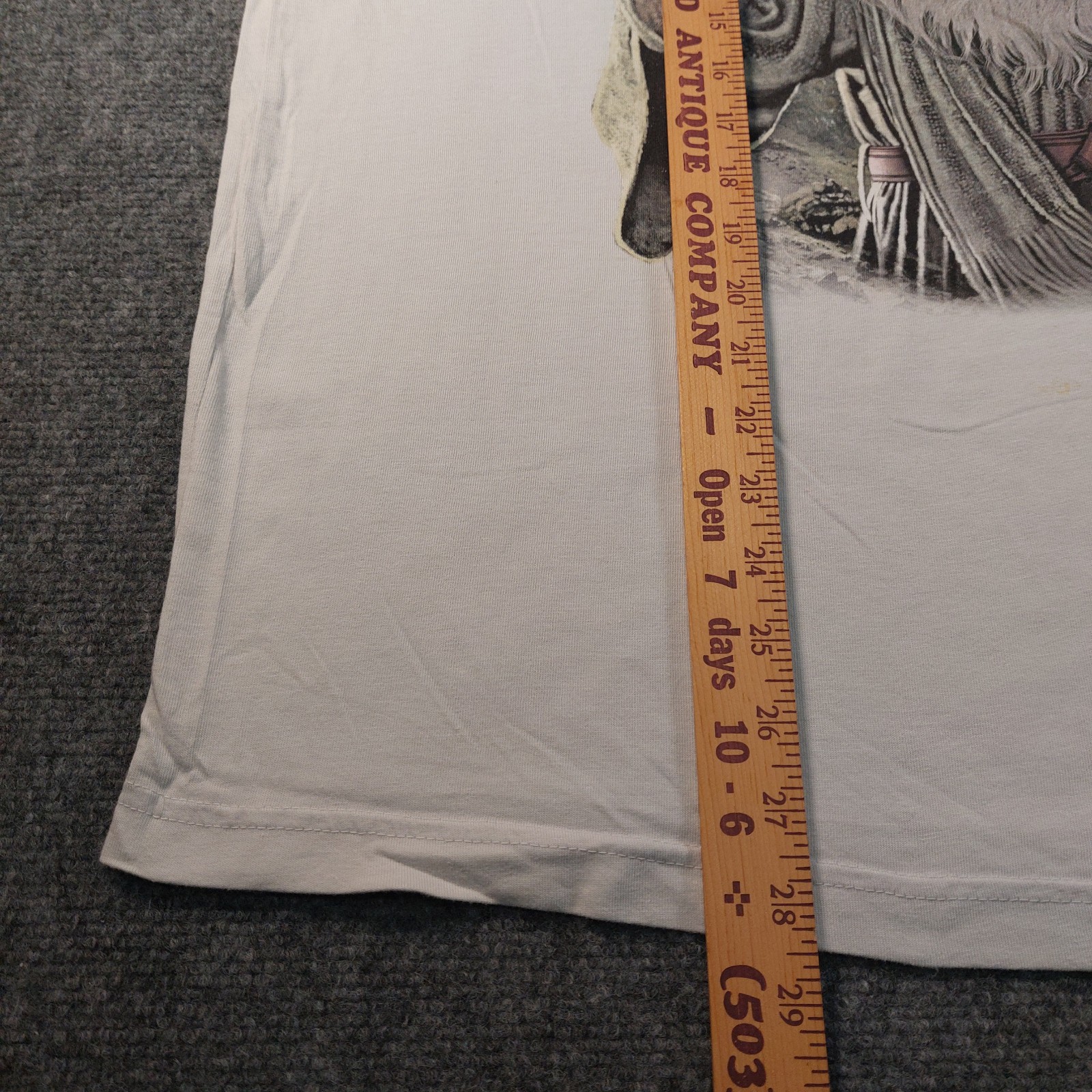 The Mountain Catdalf Wizard Cat Graphic Tee L NWOT Gandalf Parody Fantasy Gray gallery