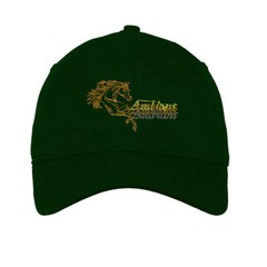 Arabian Horses Embroidered Soft Low Profile Hat
