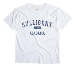 Sulligent Alabama AL T-Shirt EST