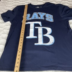Tampa Bay Rays Pro Standard Mens Large Blue Embroidered Logo MLB T Shirt NWT
