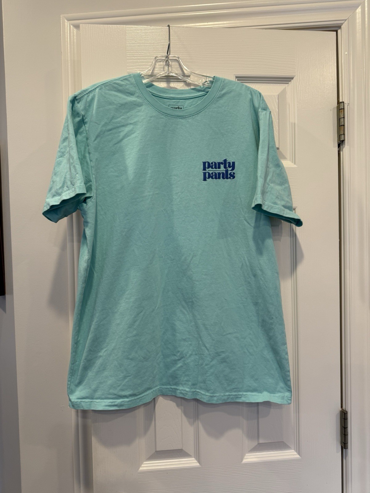 Party Pants Men’s Short Sleeve T-Shirt Size Large, Logo, Graphics, Mint Color