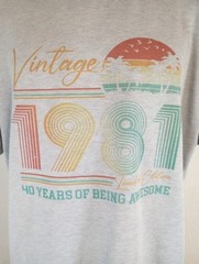 Cricut Men’s Vintage 1981 95% Polyester 5% Elastane 2XL Crew Neck SS Multicolor