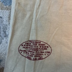 Authentic vintage and rare 70’s Jackson Browne Non-Nuclear Future shirt