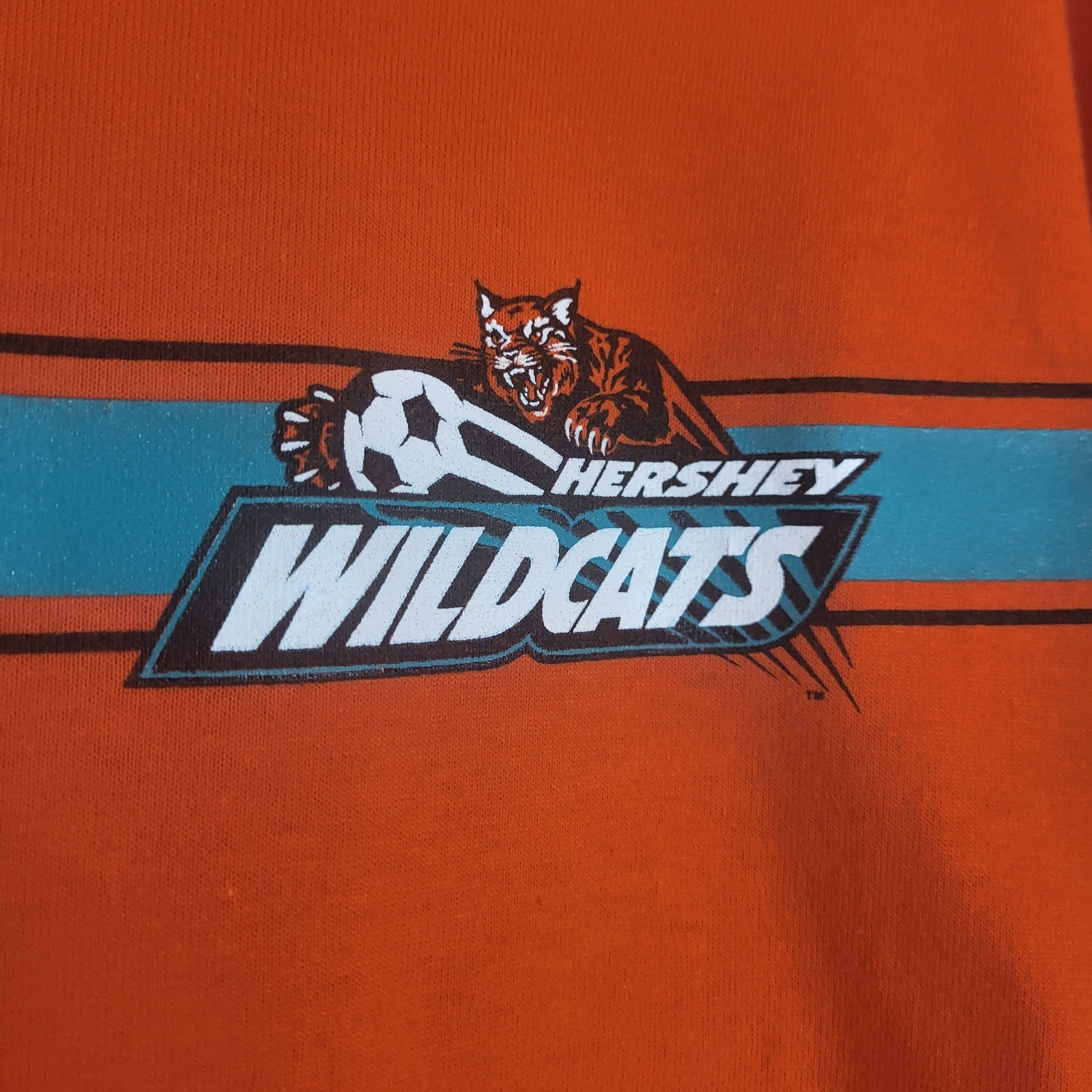 Vintage 90's Hershey Wildcats T-Shirt Adult L USL Soccer PA gallery