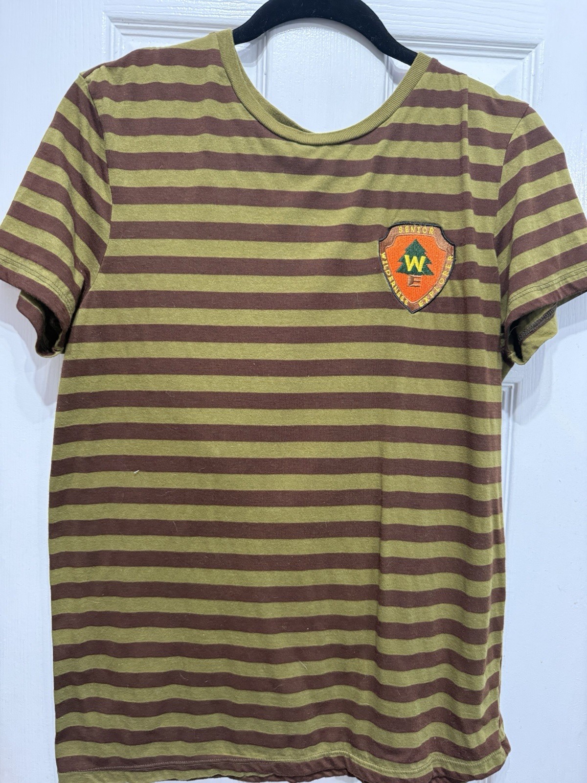 Disney Pixar UP Wilderness Explorer Striped Tshirt w/ Patch - Unisex Men's MED gallery