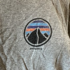 Patagonia Men’s L Gray Cotton Solid Crew Neck Long Sleeve Logo T-Shirt